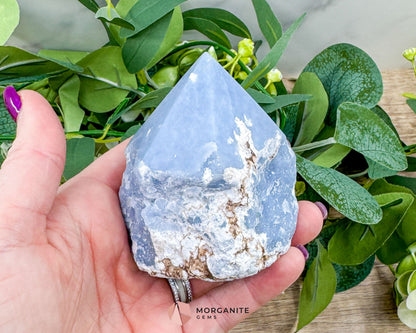 Blue Angelite Half Rough Cut Base Point – Natural Healing Crystal for Peace Communication & Spiritual Growth