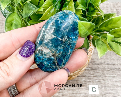 Blue Apatite Palm Stone – Crystal for Inspiration, Clarity, and Manifestation-Morganite Gems