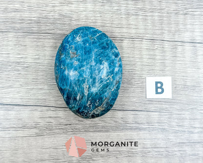 Blue Apatite Palm Stone – Crystal for Inspiration, Clarity, and Manifestation-Morganite Gems