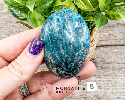 Blue Apatite Palm Stone – Crystal for Inspiration, Clarity, and Manifestation-Morganite Gems