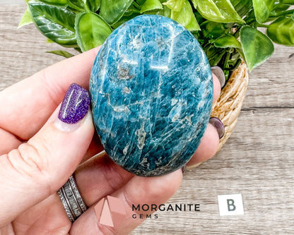 Blue Apatite Palm Stone – Crystal for Inspiration, Clarity, and Manifestation-Morganite Gems