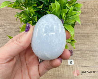 Blue Calcite Carved Egg – Calming Energy for Healing and Balance-Morganite Gems