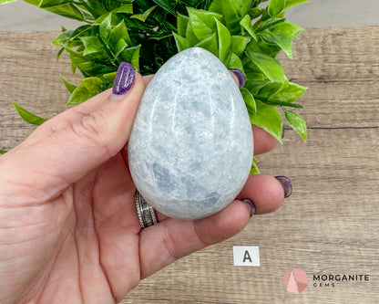 Blue Calcite Carved Egg – Calming Energy for Healing and Balance-Morganite Gems