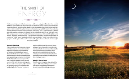 Book of Chakra Healing by Liz Simpson-Morganite Gems