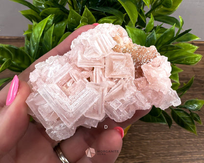 California Crystal Treasures: Halite Specimens from Searles Lake, San Bernardino County-Morganite Gems