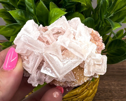 California Crystal Treasures: Halite Specimens from Searles Lake, San Bernardino County-Morganite Gems