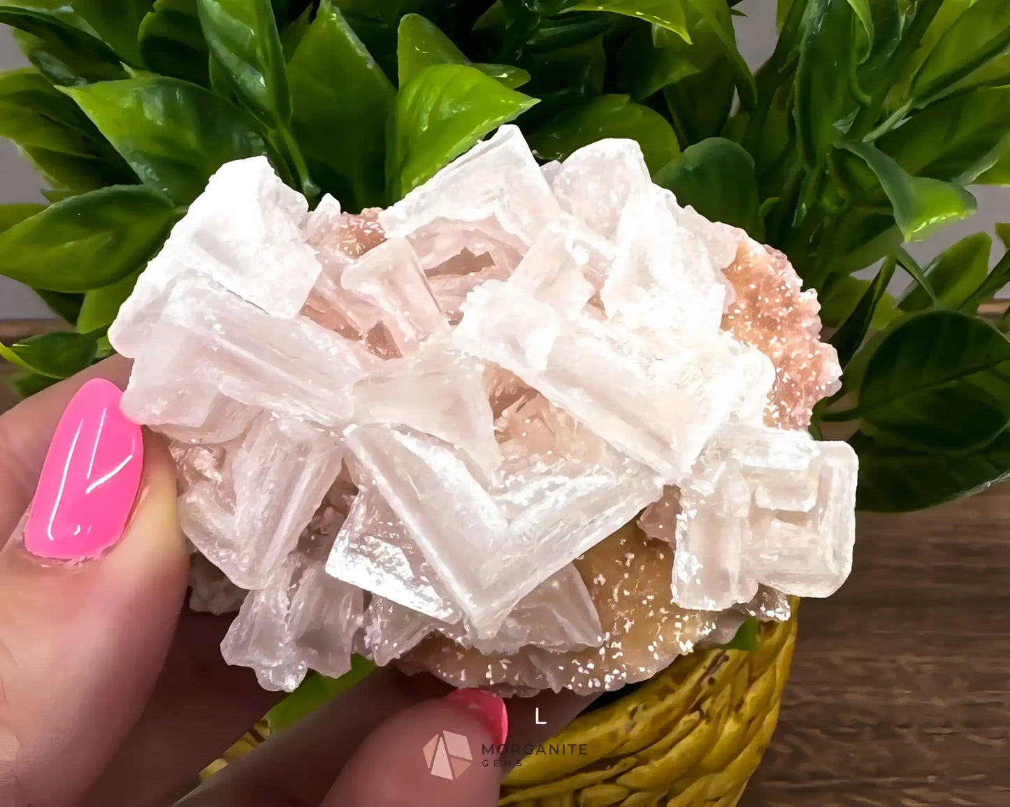 California Crystal Treasures: Halite Specimens from Searles Lake, San Bernardino County-Morganite Gems