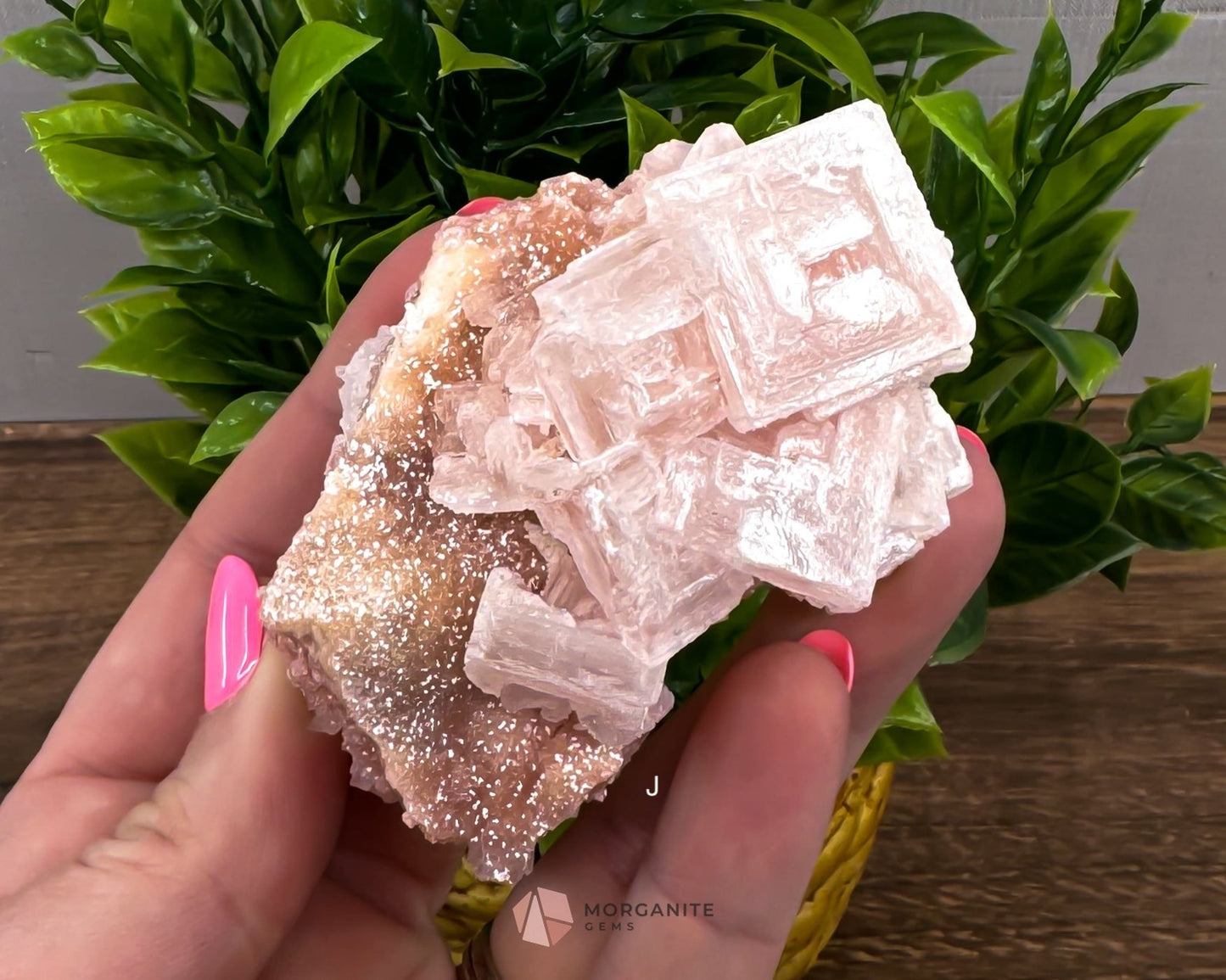 California Crystal Treasures: Halite Specimens from Searles Lake, San Bernardino County-Morganite Gems