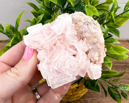 California Crystal Treasures: Halite Specimens from Searles Lake, San Bernardino County-Morganite Gems