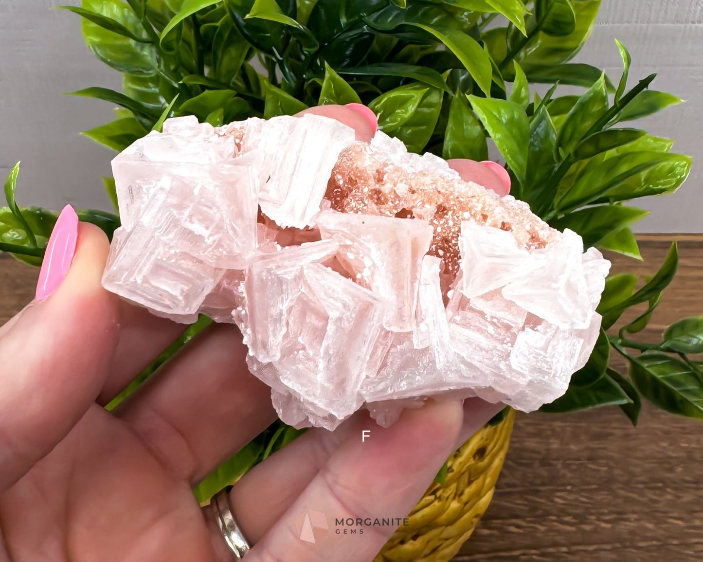 California Crystal Treasures: Halite Specimens from Searles Lake, San Bernardino County-Morganite Gems