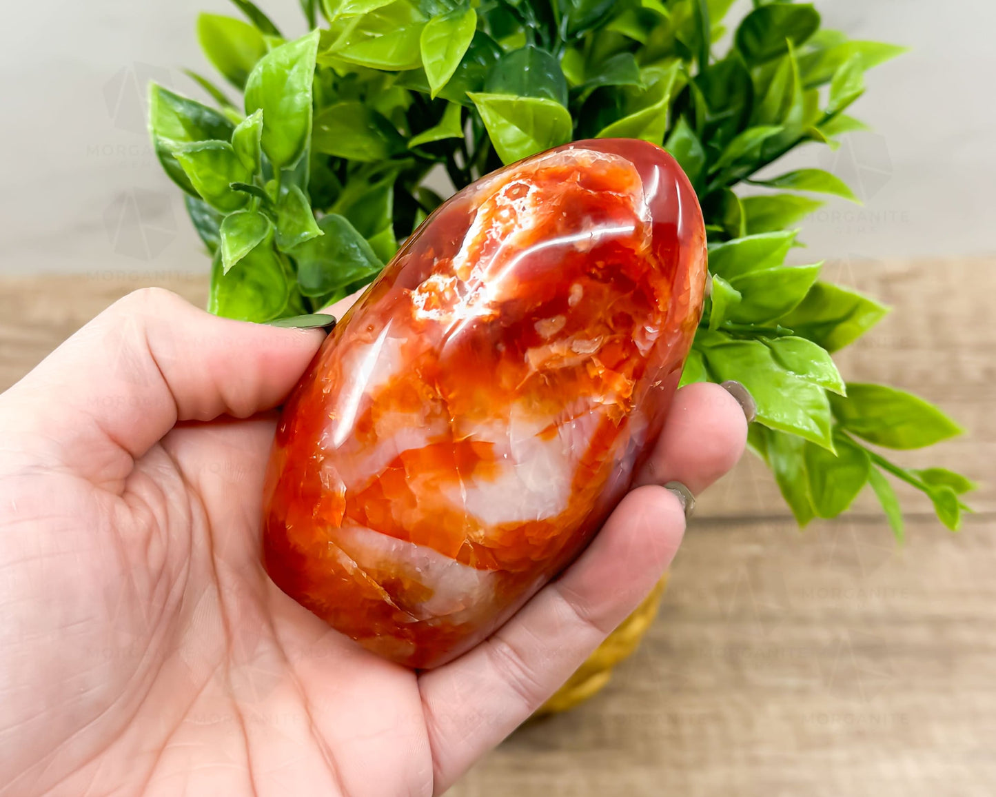 Carnelian Freeform Crystal – Polished Healing Stone for Creativity, Confidence, and Energy-Morganite Gems