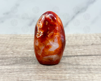 Carnelian Freeform Crystal – Polished Healing Stone for Creativity, Confidence, and Energy-Morganite Gems