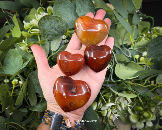 Carnelian Heart Crystal (45–60mm) with Info Card | Love Confidence & Creativity - Metaphysical Crystals