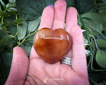 Carnelian Heart Crystal (45–60mm) with Info Card | Love Confidence & Creativity - Metaphysical Crystals