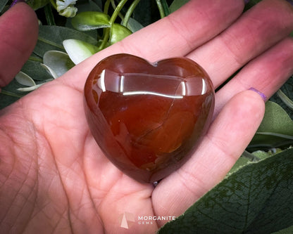 Carnelian Heart Crystal (45–60mm) with Info Card | Love Confidence & Creativity - Metaphysical Crystals