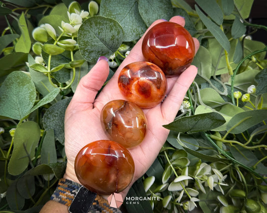 Carnelian Polished Palm Stone (45–55mm) for Motivation Creativity & Confidence - Metaphysical Crystals