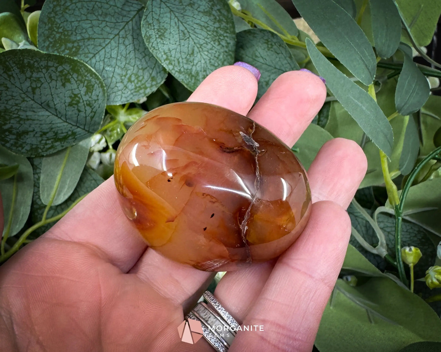 Carnelian Polished Palm Stone (45–55mm) for Motivation Creativity & Confidence - Metaphysical Crystals