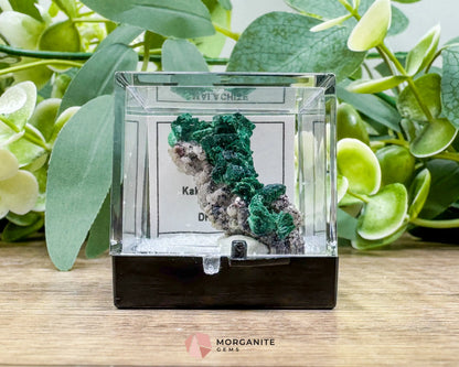 Malachite Cobaltoan Dolomite Quartz – Natural Specimen 1.77g (37×14mm) – Display Case Included - Metaphysical Crystals