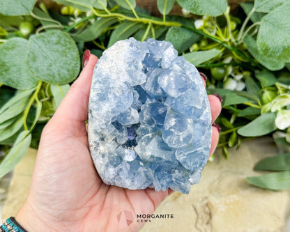 Celestite Geode Druzy Egg No.1 – 2.12lb Free-Standing Crystal for Peace Clarity & Angelic Energy - Metaphysical Crystals