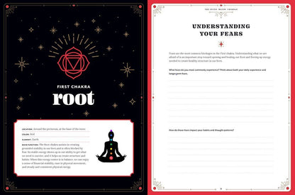 Chakra Healing: An In Focus Workbook - Books Movies & Music