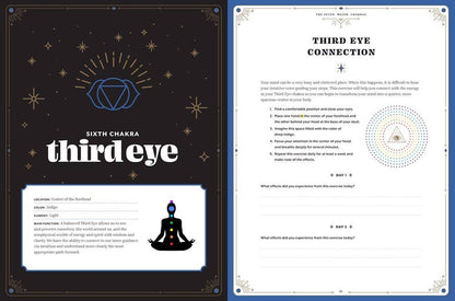 Chakra Healing: An In Focus Workbook - Books Movies & Music