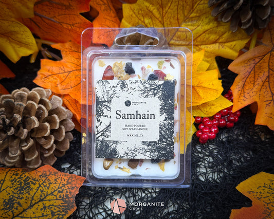 Samhain Wax Melts – Fall Scented Soy Wax Melts with Crystals | Smoky Amber Apple | Witchy Home Fragrance - Container