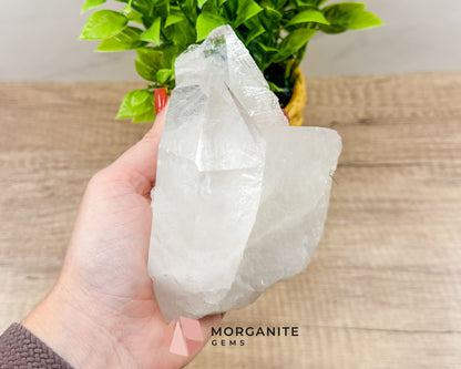 Clear Quartz Crystal Specimen – Natural Beauty and Energy Amplifier-Morganite Gems