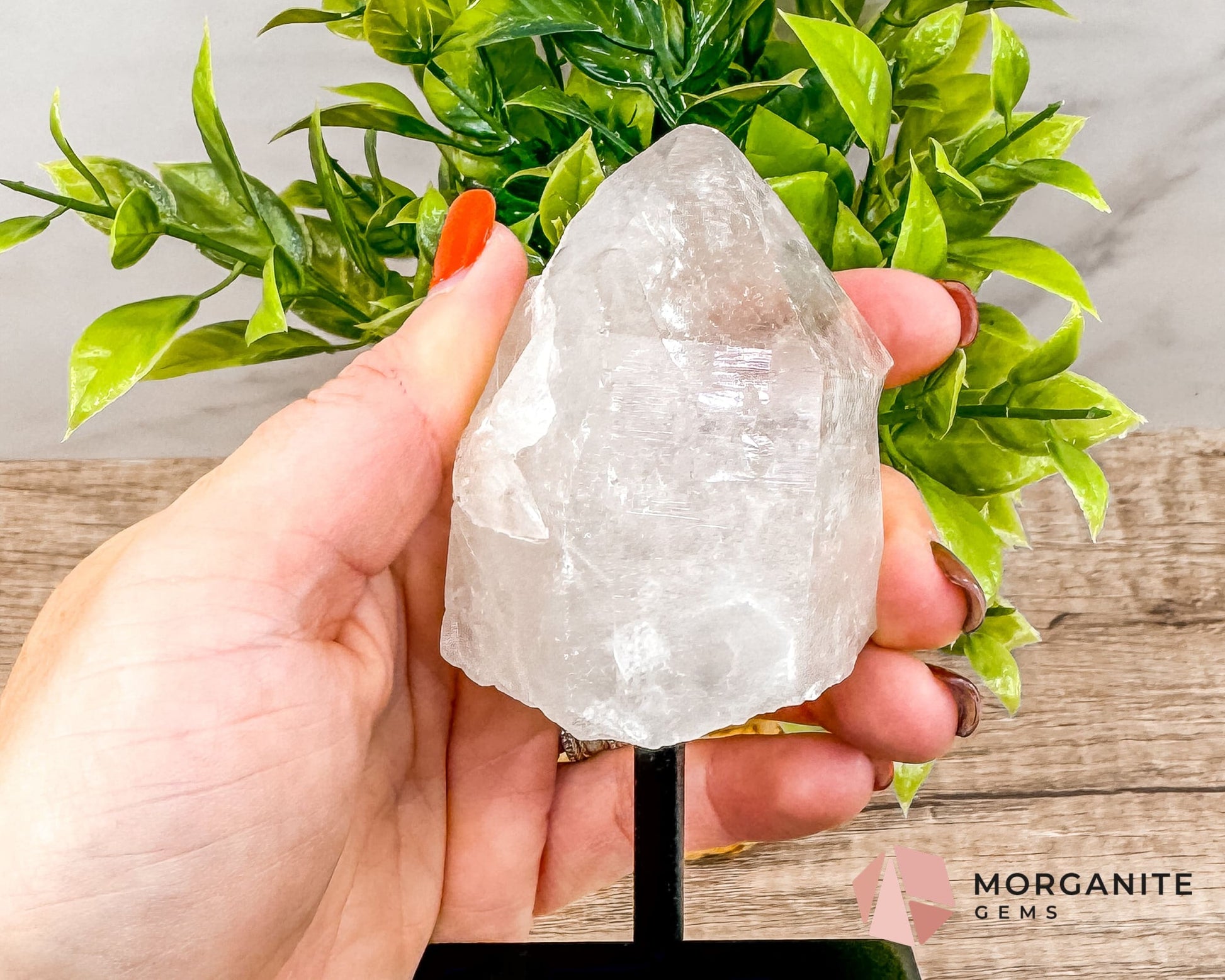 Clear Quartz Point on Metal Stand – Energy Amplifying Crystal for Clarity, Healing & Focus-Morganite Gems