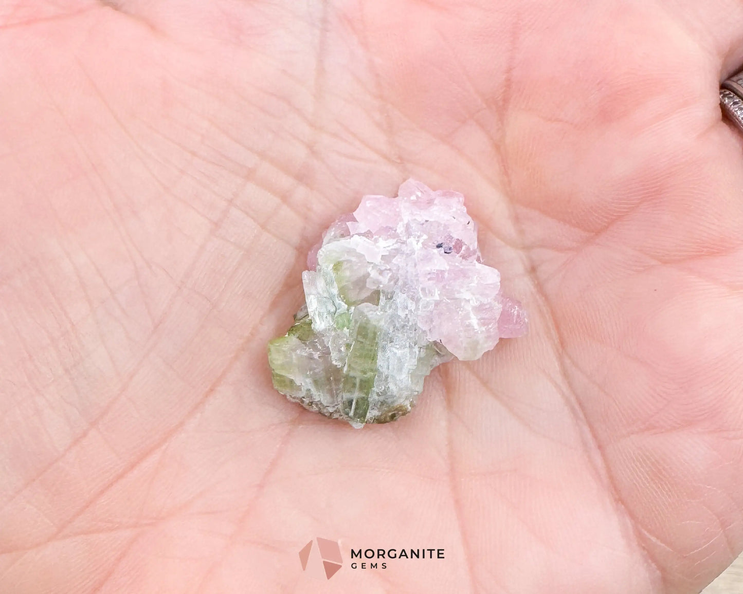 Elbaite Tourmaline – Natural Crystal Specimen in Clear Display Case 2.19g (27×21×11 mm) – Dara‑e‑Pech Kunar Afghanistan