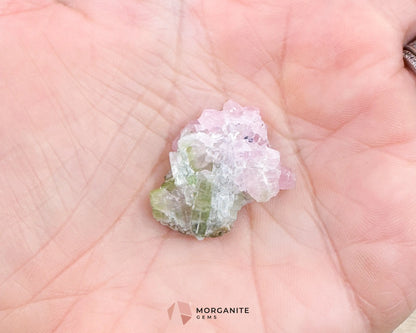 Elbaite Tourmaline – Natural Crystal Specimen in Clear Display Case 2.19g (27×21×11 mm) – Dara‑e‑Pech Kunar Afghanistan