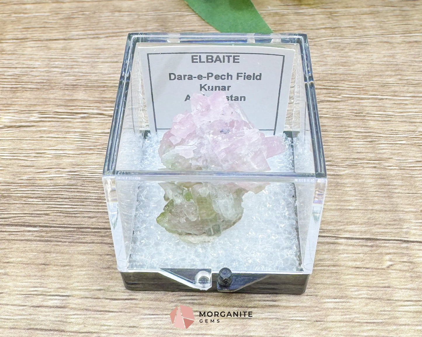 Elbaite Tourmaline – Natural Crystal Specimen in Clear Display Case 2.19g (27×21×11 mm) – Dara‑e‑Pech Kunar Afghanistan