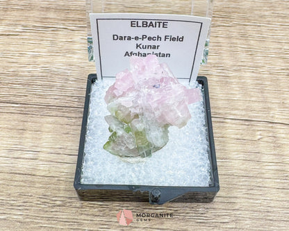 Elbaite Tourmaline – Natural Crystal Specimen in Clear Display Case 2.19g (27×21×11 mm) – Dara‑e‑Pech Kunar Afghanistan