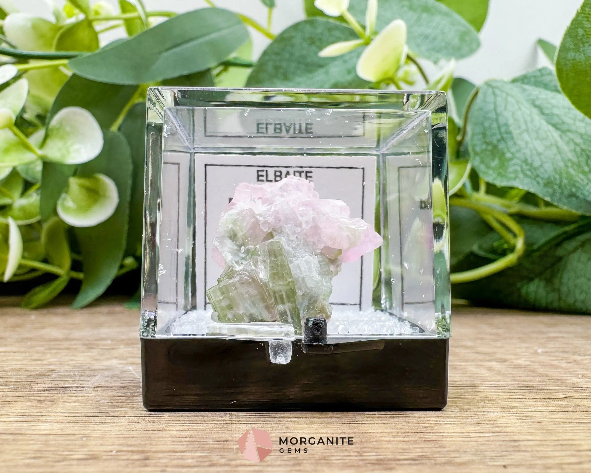 Elbaite Tourmaline – Natural Crystal Specimen in Clear Display Case 2.19g (27×21×11 mm) – Dara‑e‑Pech Kunar Afghanistan