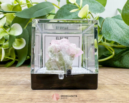 Elbaite Tourmaline – Natural Crystal Specimen in Clear Display Case 2.19g (27×21×11 mm) – Dara‑e‑Pech Kunar Afghanistan