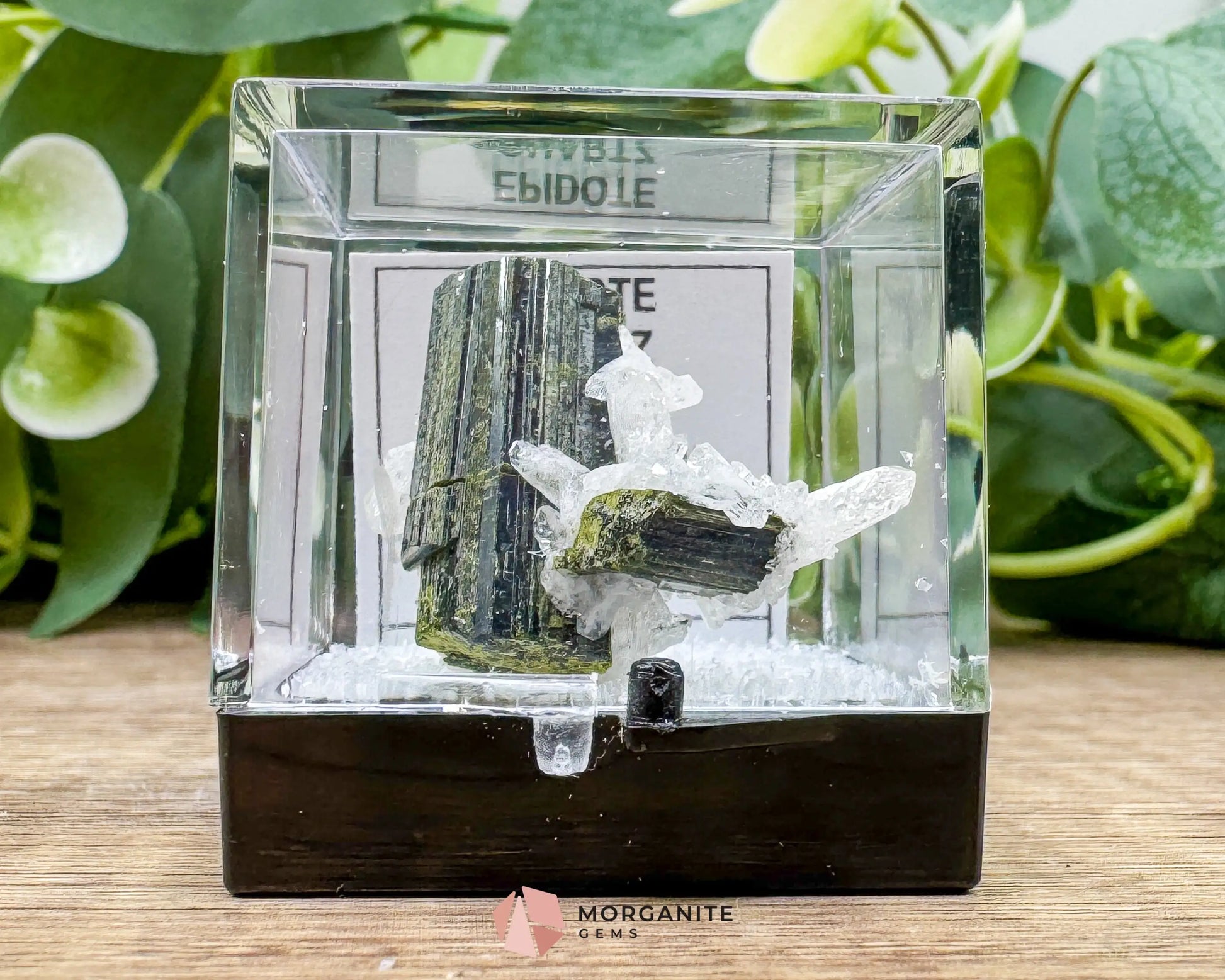 Epidote Crystal with Quartz – Natural Specimen in Clear Display Case 2g (29×29×13 mm) – Capelinha Minas Gerais Brazil