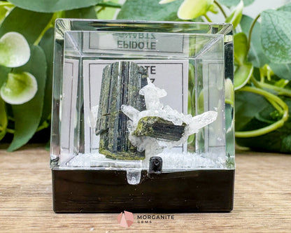 Epidote Crystal with Quartz – Natural Specimen in Clear Display Case 2g (29×29×13 mm) – Capelinha Minas Gerais Brazil