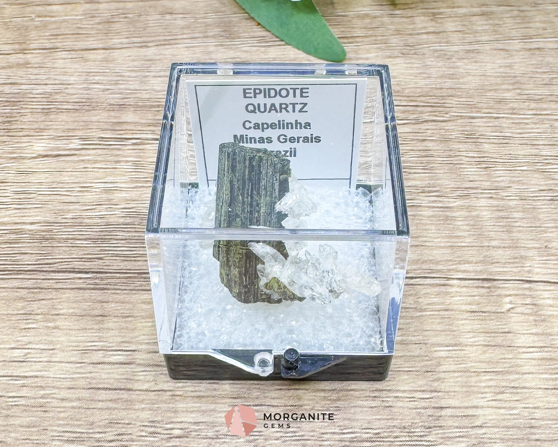 Epidote Crystal with Quartz – Natural Specimen in Clear Display Case 2g (29×29×13 mm) – Capelinha Minas Gerais Brazil