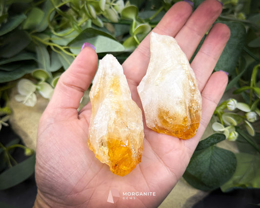 Extra Large Citrine Raw Point (3–5 oz) | Extra Quality | Confidence Clarity & Manifestation - 3-4 oz - Metaphysical