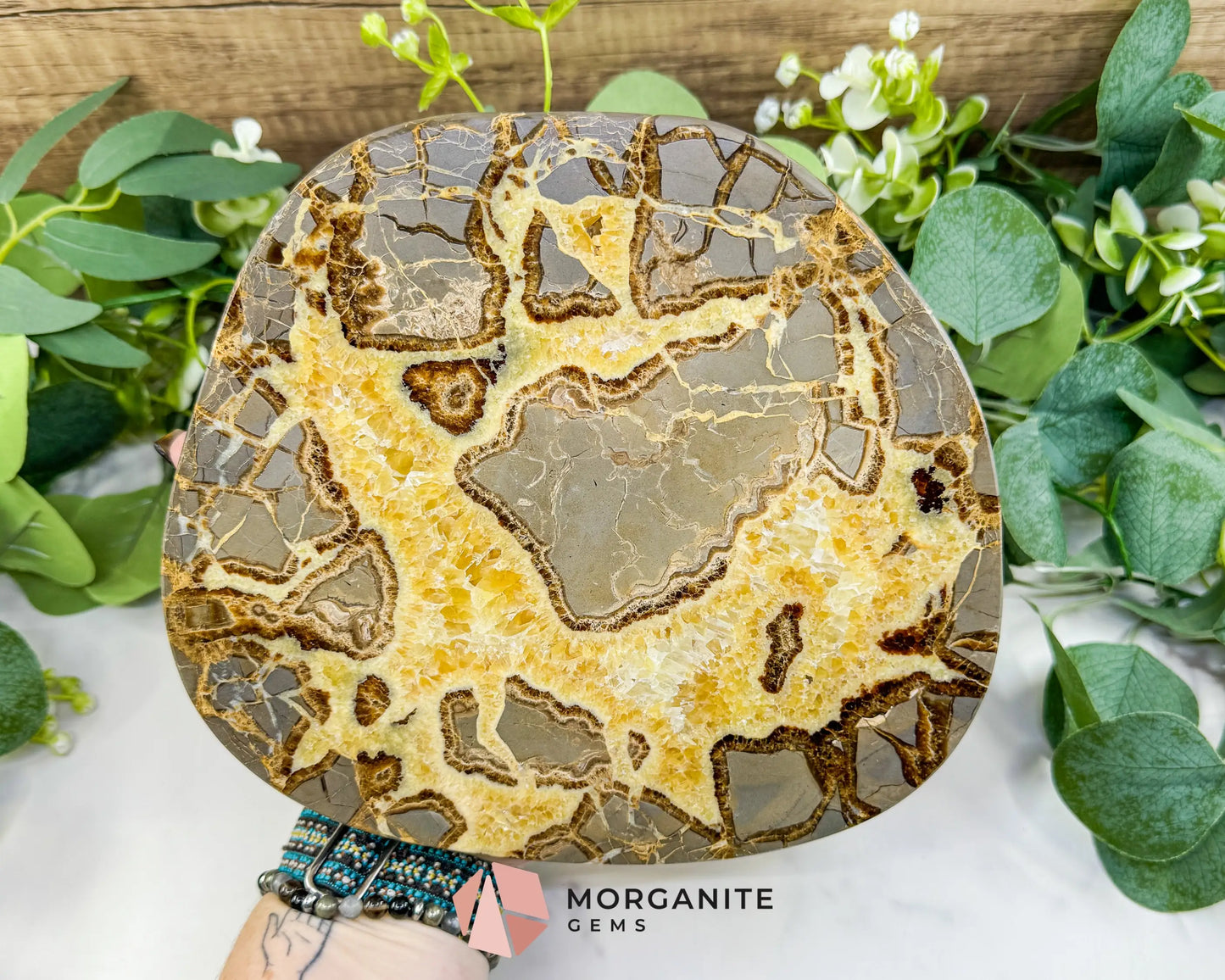 Extra-Thick Utah Septarian ’Dragon Stone’ Slice No. 4 (3.61lbs) – 8.5’’ Polished Local Specimen for Grounding &