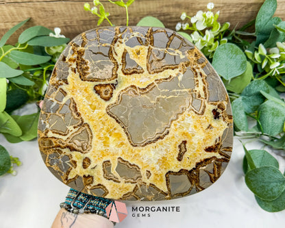 Extra-Thick Utah Septarian ’Dragon Stone’ Slice No. 4 (3.61lbs) – 8.5’’ Polished Local Specimen for Grounding &