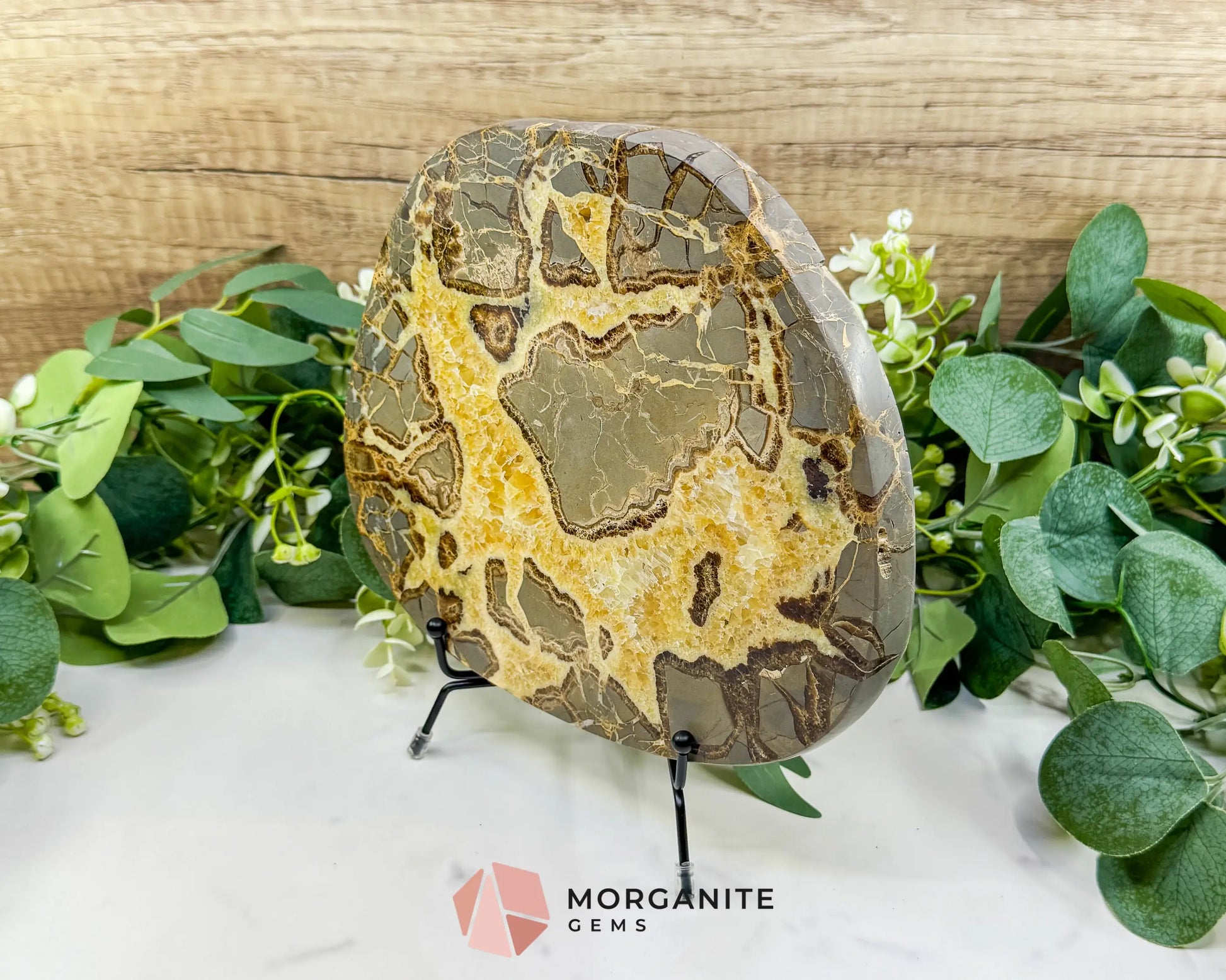 Extra-Thick Utah Septarian ’Dragon Stone’ Slice No. 4 (3.61lbs) – 8.5’’ Polished Local Specimen for Grounding &