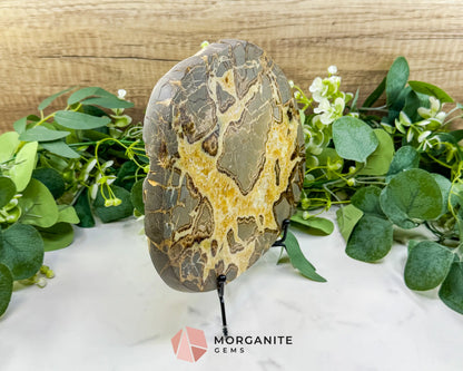 Extra-Thick Utah Septarian ’Dragon Stone’ Slice No. 4 (3.61lbs) – 8.5’’ Polished Local Specimen for Grounding &