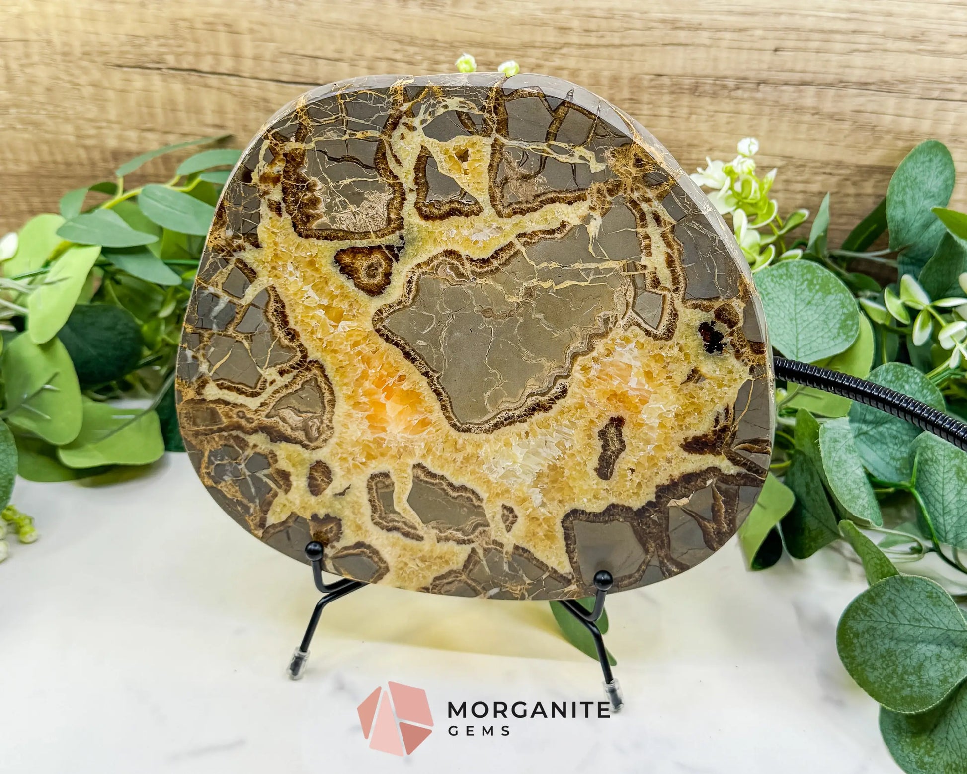 Extra-Thick Utah Septarian ’Dragon Stone’ Slice No. 4 (3.61lbs) – 8.5’’ Polished Local Specimen for Grounding &