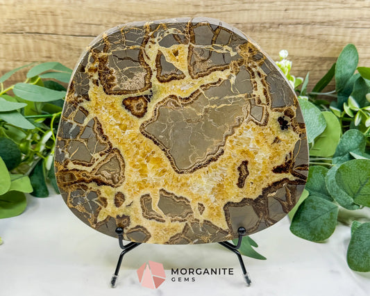 Extra-Thick Utah Septarian ’Dragon Stone’ Slice No. 4 (3.61lbs) – 8.5’’ Polished Local Specimen for Grounding &