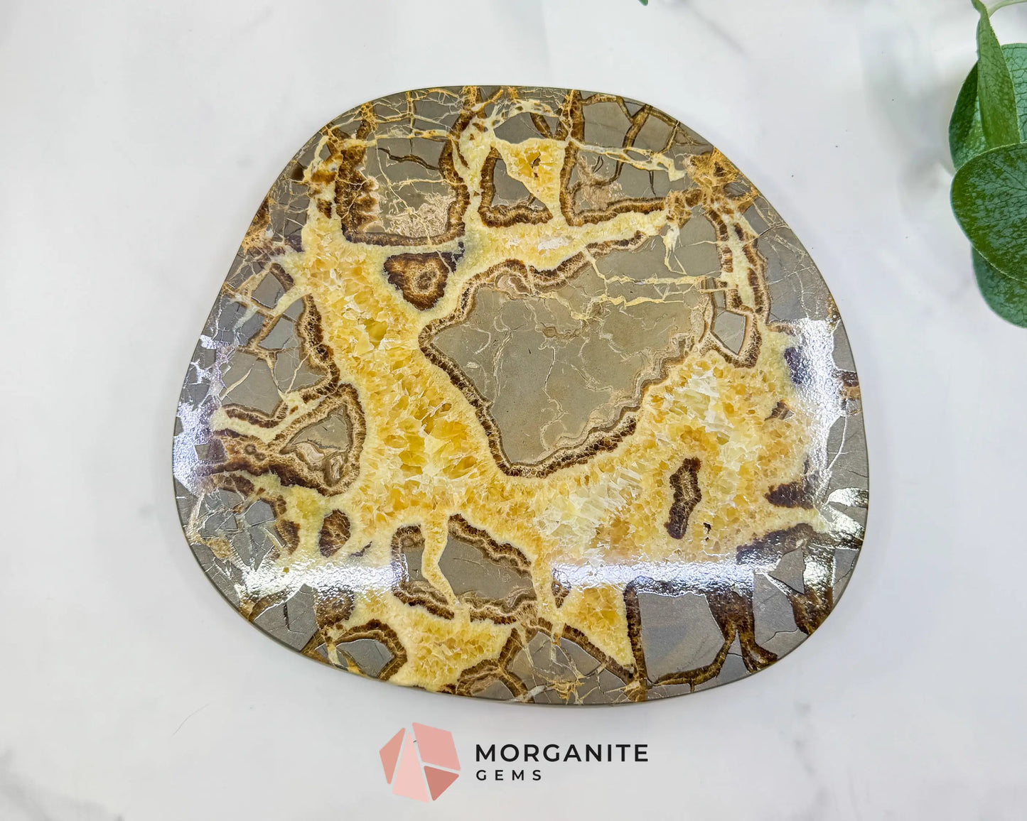 Extra-Thick Utah Septarian ’Dragon Stone’ Slice No. 4 (3.61lbs) – 8.5’’ Polished Local Specimen for Grounding &