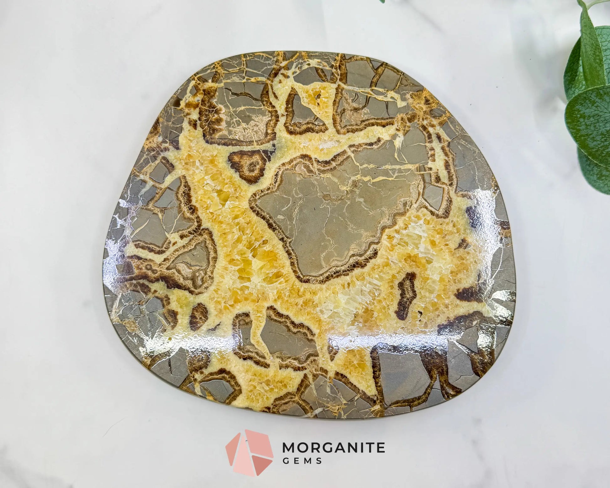 Extra-Thick Utah Septarian ’Dragon Stone’ Slice No. 4 (3.61lbs) – 8.5’’ Polished Local Specimen for Grounding &