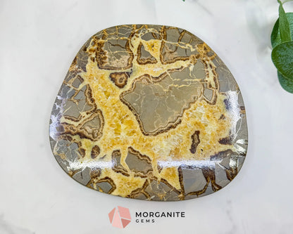 Extra-Thick Utah Septarian ’Dragon Stone’ Slice No. 4 (3.61lbs) – 8.5’’ Polished Local Specimen for Grounding &