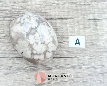 Flower Agate Palm Stone – Crystal for Growth, Transformation, and Emotional Healing-Morganite Gems