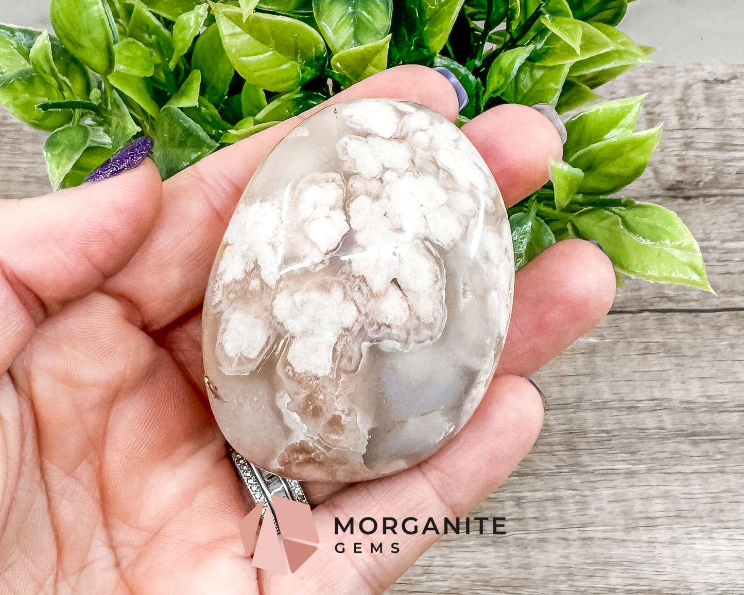 Flower Agate Palm Stone – Crystal for Growth, Transformation, and Emotional Healing-Morganite Gems