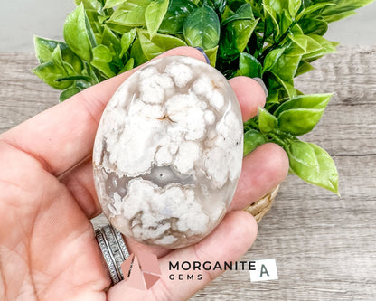 Flower Agate Palm Stone – Crystal for Growth, Transformation, and Emotional Healing-Morganite Gems